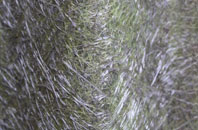 Wilderswood fibreglass roof work